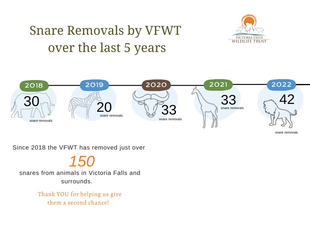 snare removals vfwt 5 years 2